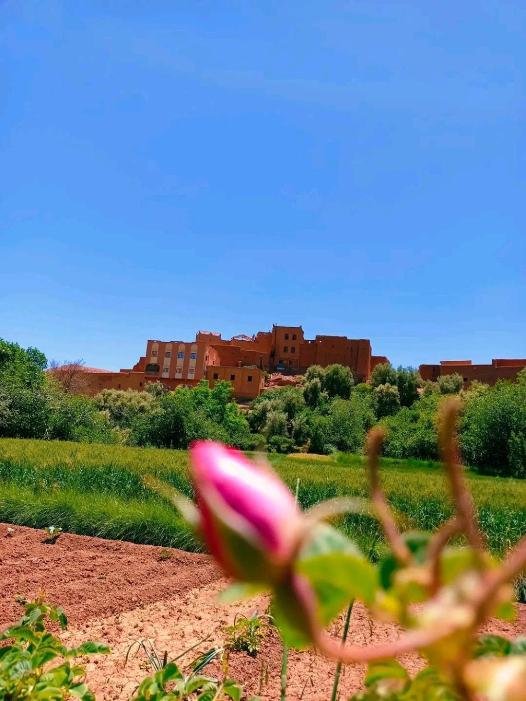 Apartment Restaurant Ait Saderat *